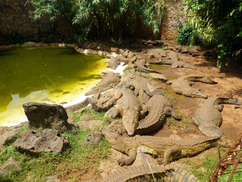 Nairobi Mamba Village Excursion
